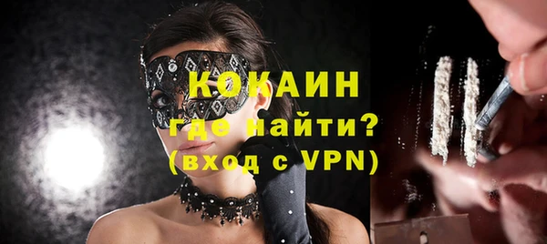 сатива Кукмор