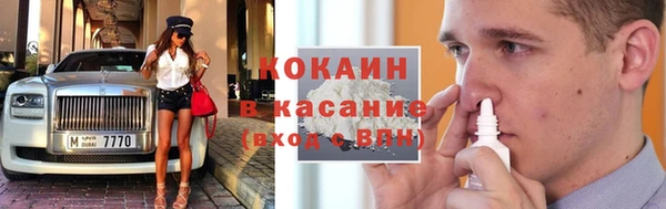сатива Кукмор