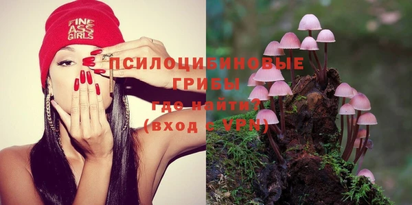 сатива Кукмор