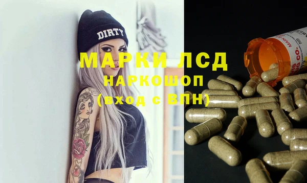 сатива Кукмор
