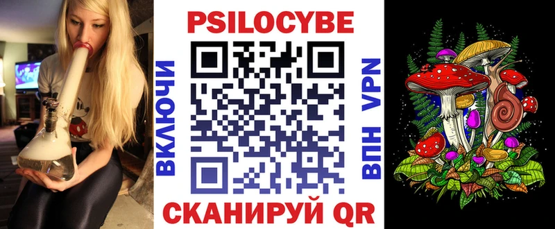 blacksprut вход  даркнет сайт  Минусинск  Псилоцибиновые грибы Psilocybine cubensis 